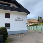 דירה Schwarzwald-blick Lenzkirch-saig