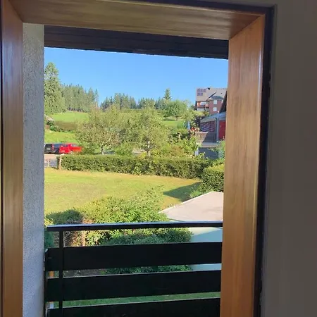 Schwarzwald-blick Lenzkirch-saig Apartment Lenzkirch