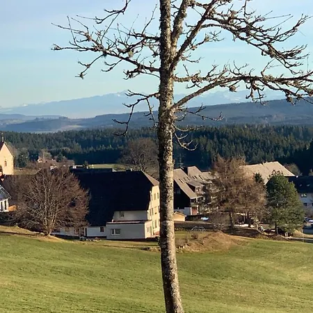 Schwarzwald-blick Lenzkirch-saig
