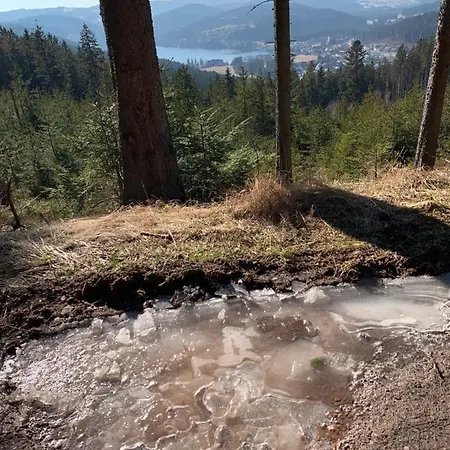 Schwarzwald-blick Lenzkirch-saig Lenzkirch