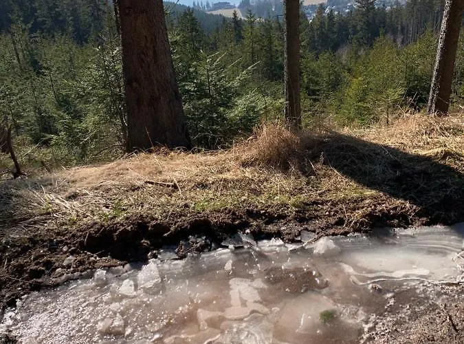 Schwarzwald-blick Lenzkirch-saig Lenzkirch